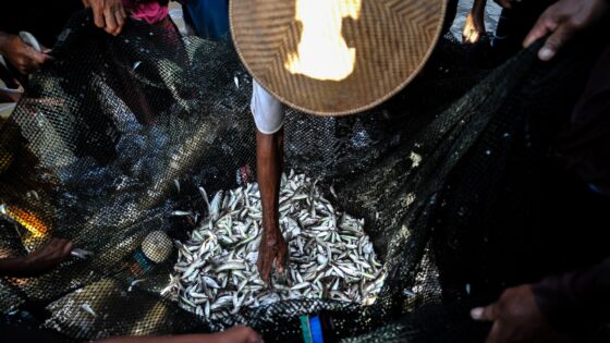 Shared Oceans, Shared Prosperity: Advancing the Blue Economy in Asia and the Pacific